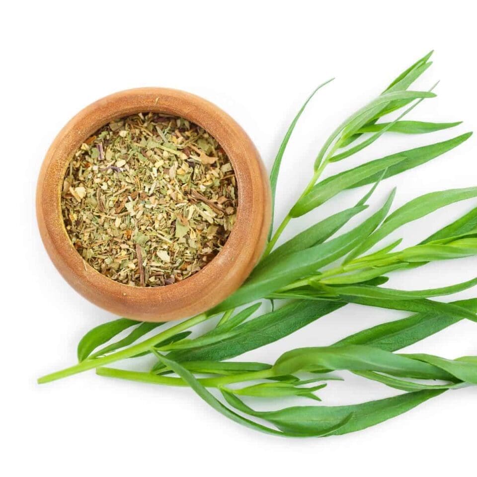 8 Of The Best Tarragon Substitute (Options You Likely Have)