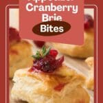 A close-up photo of a plate of Cranberry Brie Bites.