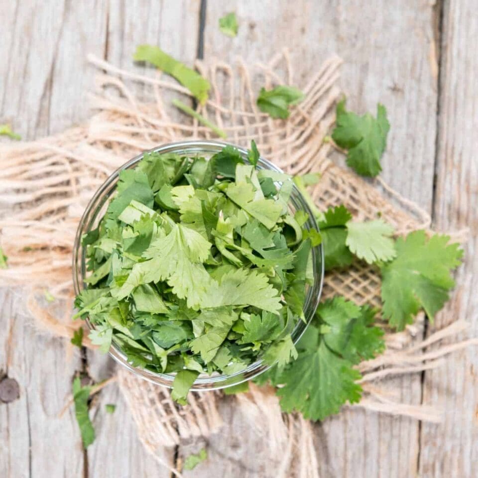 7 Best Cilantro Substitutes For When You Can't Find Cilantro
