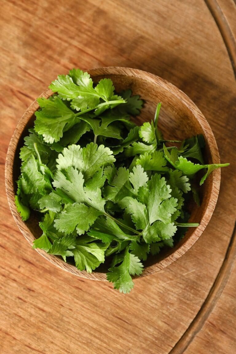 How to Store Cilantro in 4 Different Ways