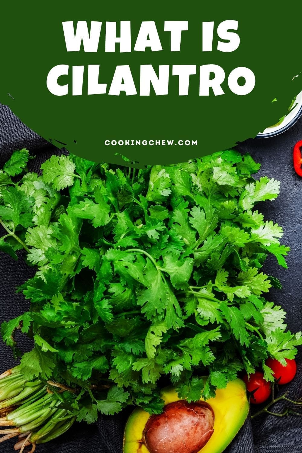 What Is Cilantro? Everything You Need to Know
