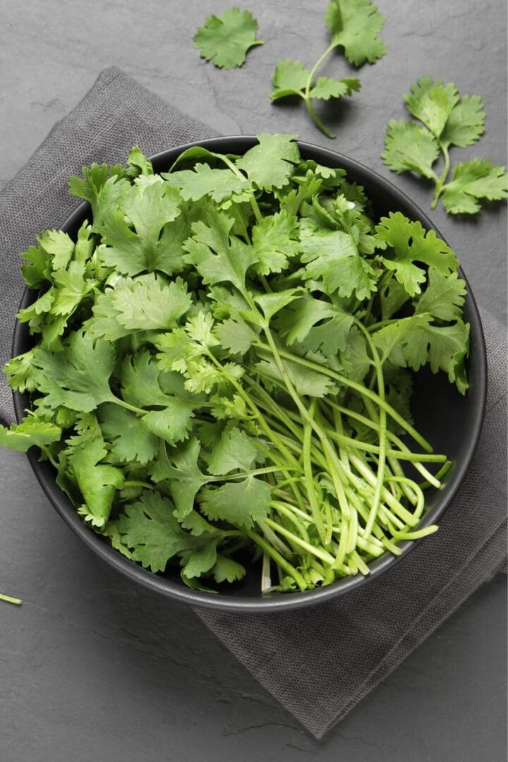 What Is Cilantro? Everything You Need to Know