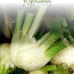 A pile of fennel stalks with feathery green fronds leaning against each other.
