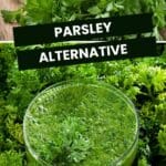A close-up photo of a parsley puree with fresh parsley in the background.
