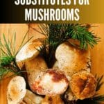 A close-up photo of dried porcini mushrooms in a white bowl.