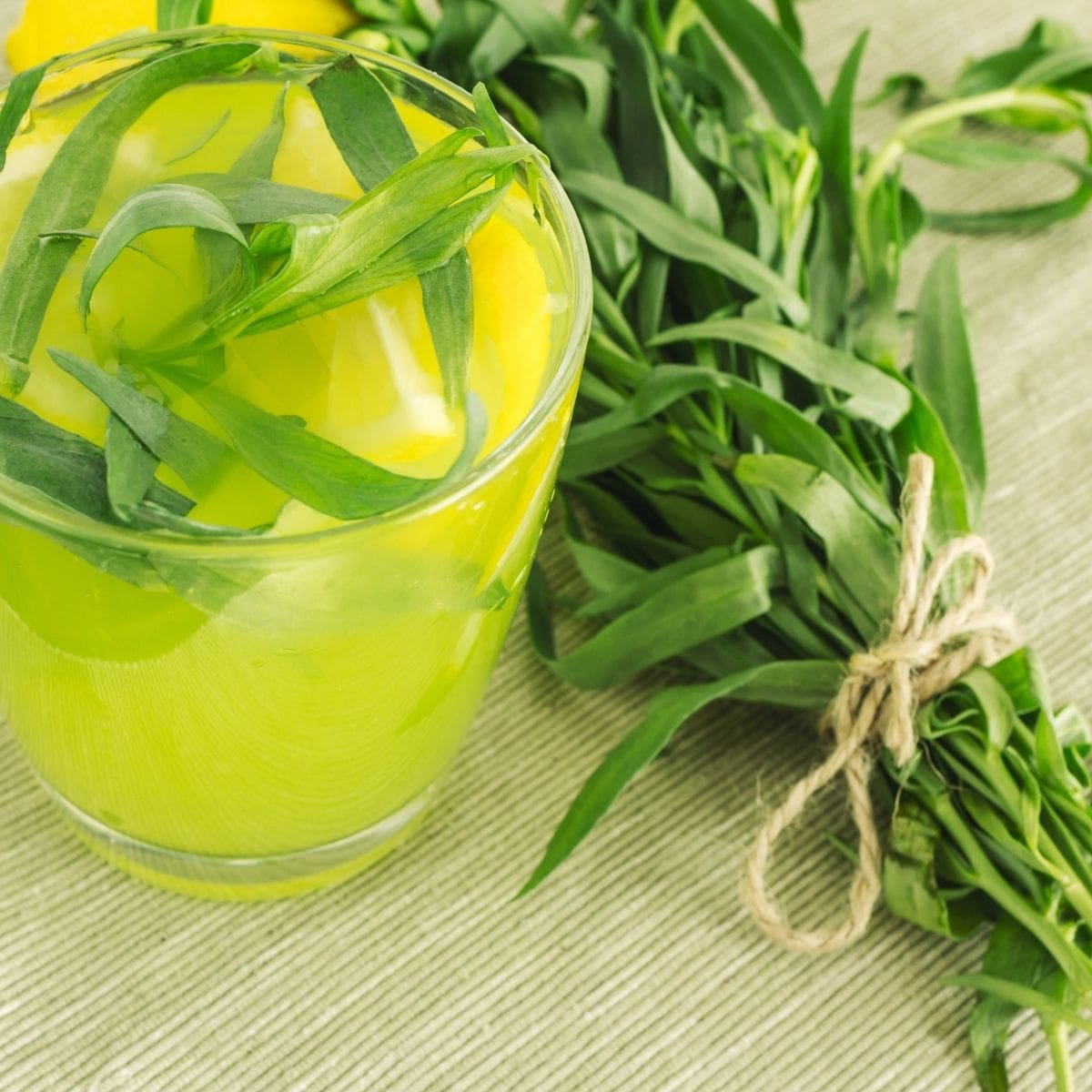 8 Of The Best Tarragon Substitute (Options You Likely Have)