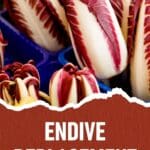 A photo of a blue plastic bin filled with red endives.