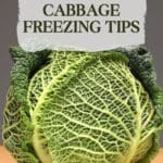 A head of green cabbage sits on a wooden cutting board.