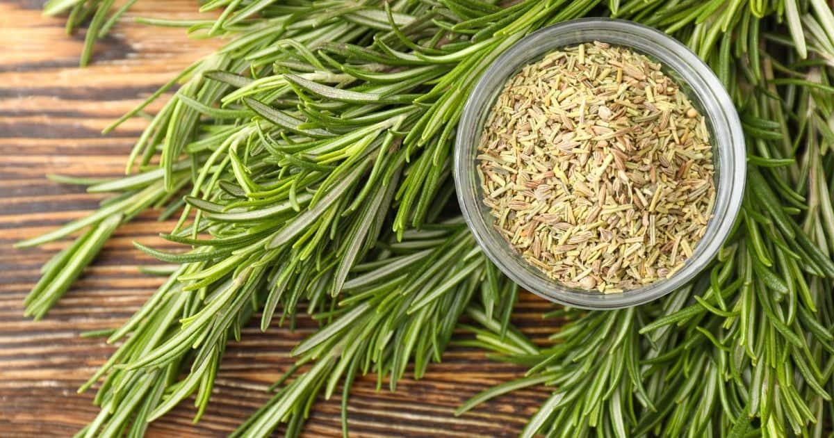 How To Dry Rosemary