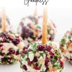 A mini cranberry cheese ball on a wooden appetizer stick, coated in a mixture of chopped cranberries, pecans, and herbs, and garnished with a sprig of rosemary and a fresh cranberry.