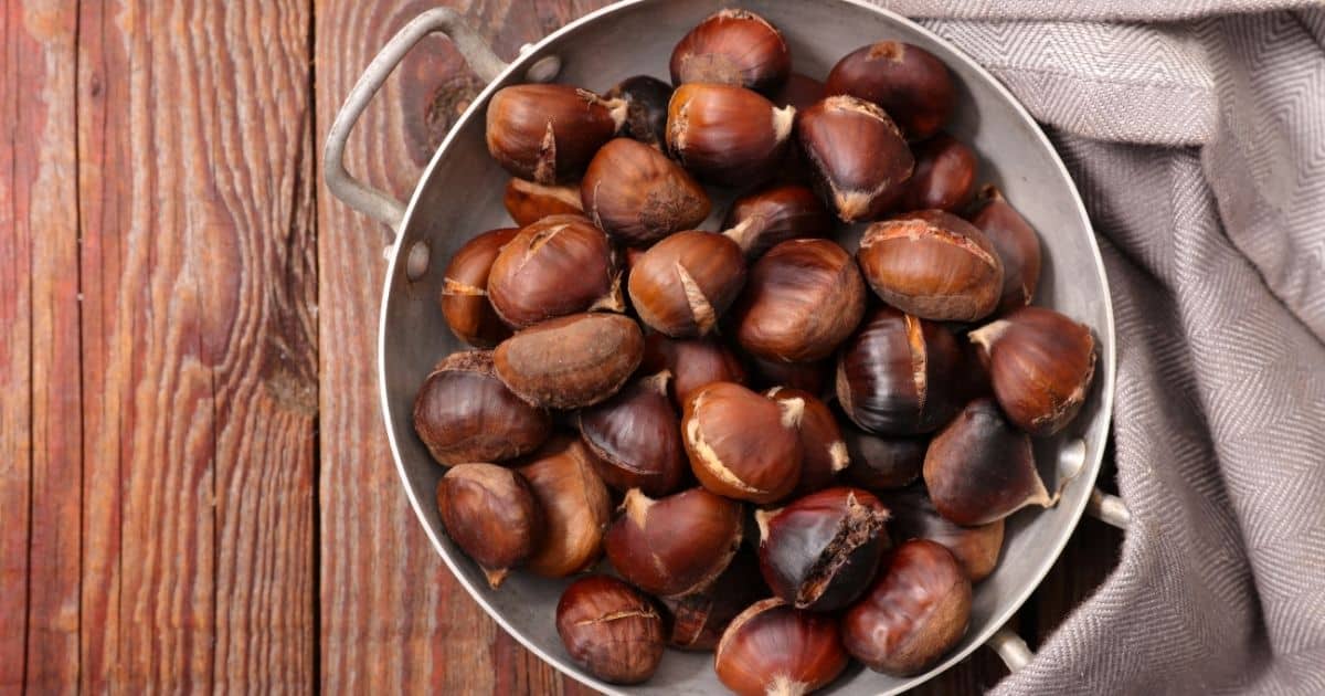 What Is A Chestnut? Is It Really A Nut? Find Out The Answers Here!