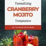 A close-up photo of a glass of cranberry mojito. The cocktail is a vibrant red color and is garnished with cranberries, limes, and mint leaves.