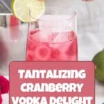 A glass of cranberry vodka delight with a slice of lime on top.