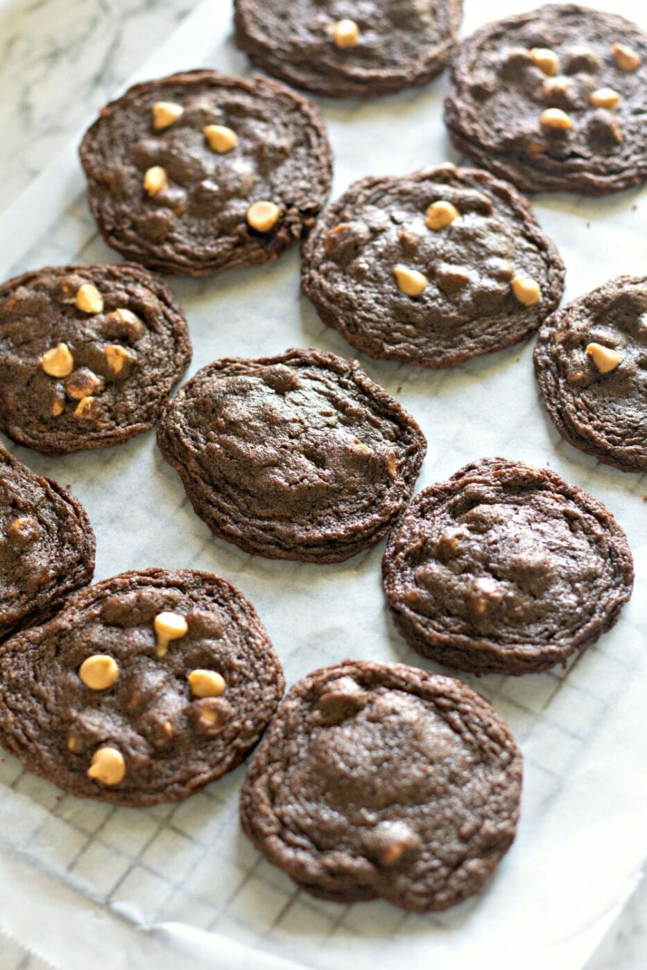A plate of warm, soft, and chewy chocolate peanut butter chip cookies.