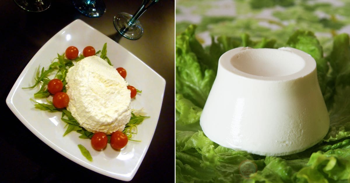 Ricotta vs. Cottage Cheese The Best FAQ For Storage, Tips & More