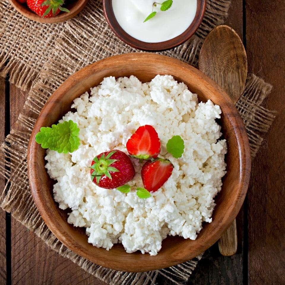 Dry Curd Cottage Cheese Substitute + Ratios