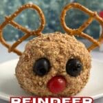Reindeer cheese ball – festive Christmas appetizer