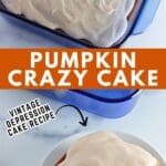 Pumpkin Spice Crazy Cake – Egg-free and dairy-free vintage cake recipe.