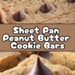 A tray of golden-brown peanut butter cookie bars fresh out of the oven.