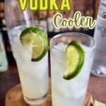 A bubbly vodka and lime cocktail in a tall glass with club soda and a lime wedge.