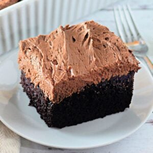 A clear, detailed image of a slice of chocolate cake on a plate, showing its layers and frosting.
