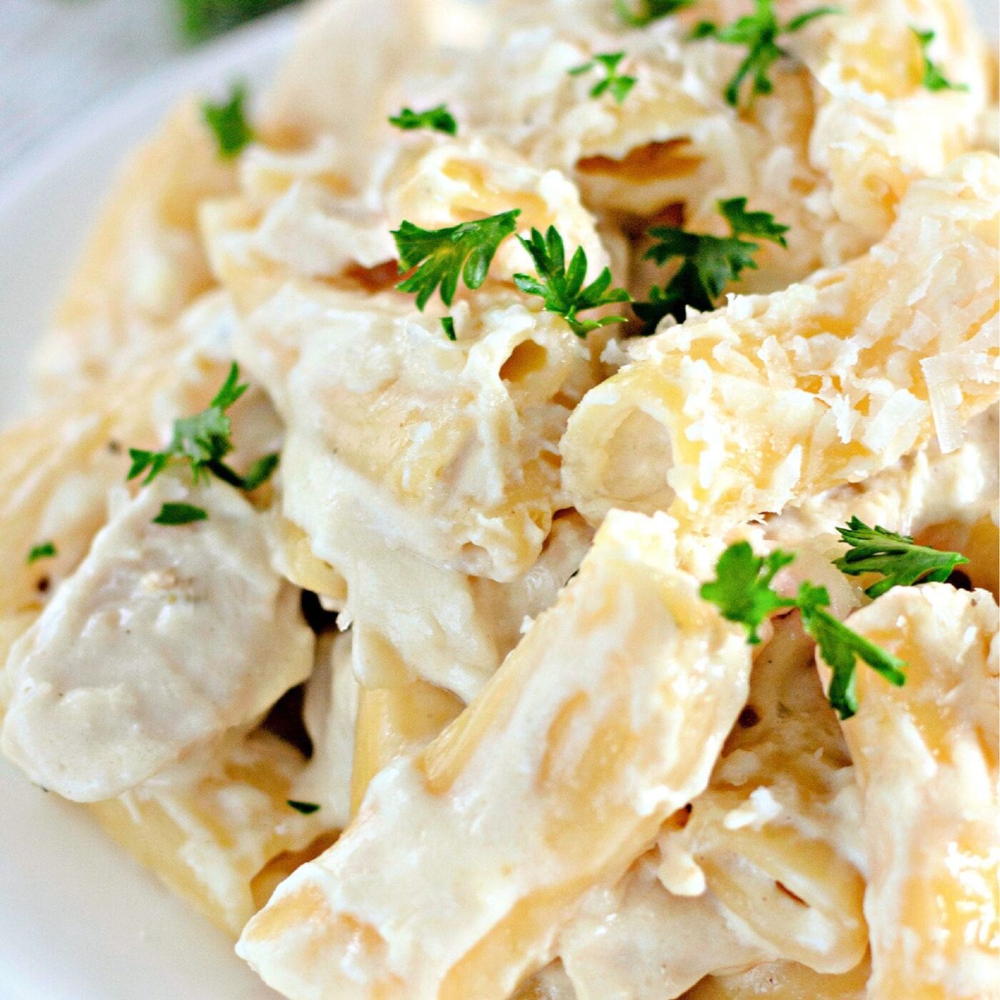 Creamy rigatoni Alfredo pasta with Parmesan cheese.