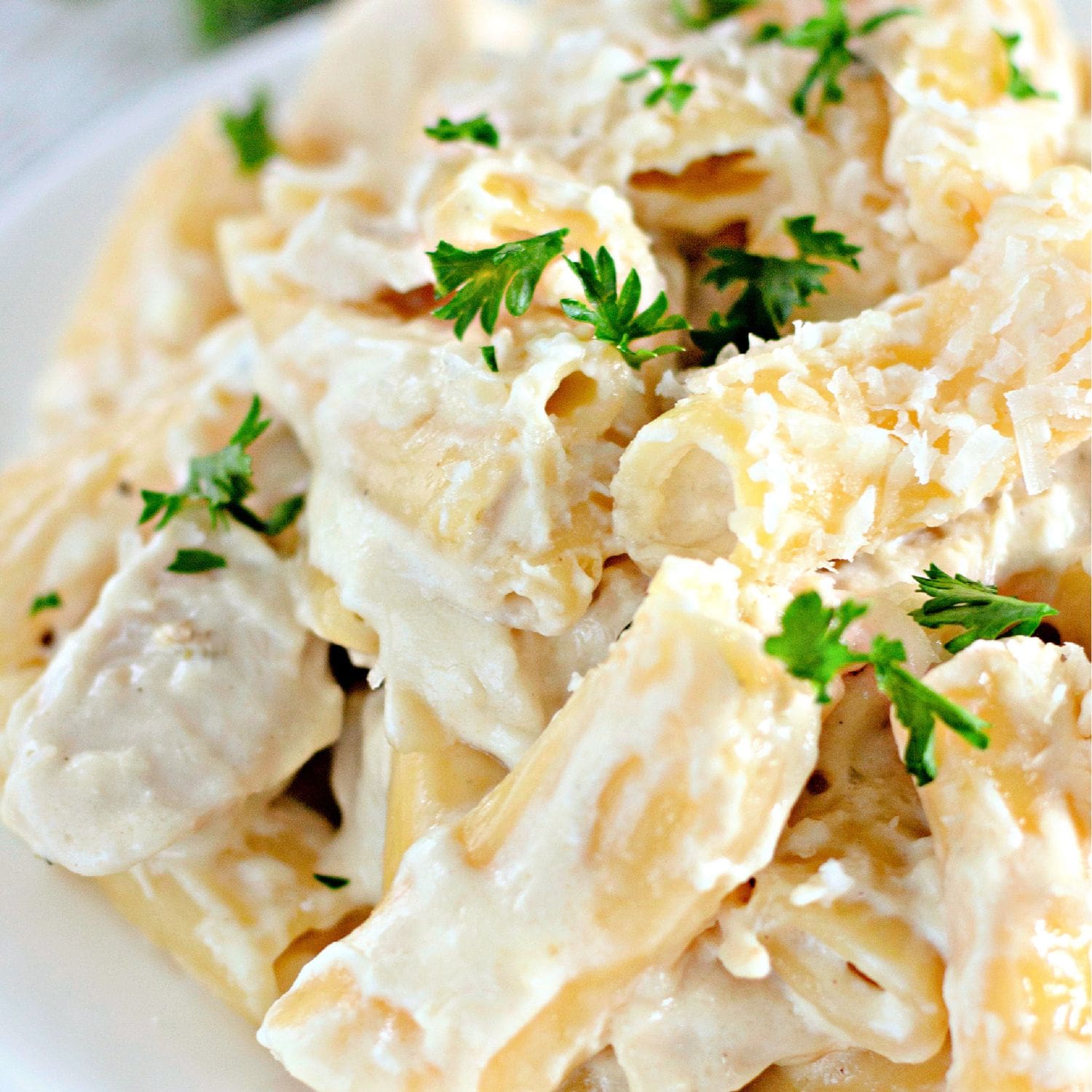 Creamy rigatoni Alfredo pasta with Parmesan cheese.