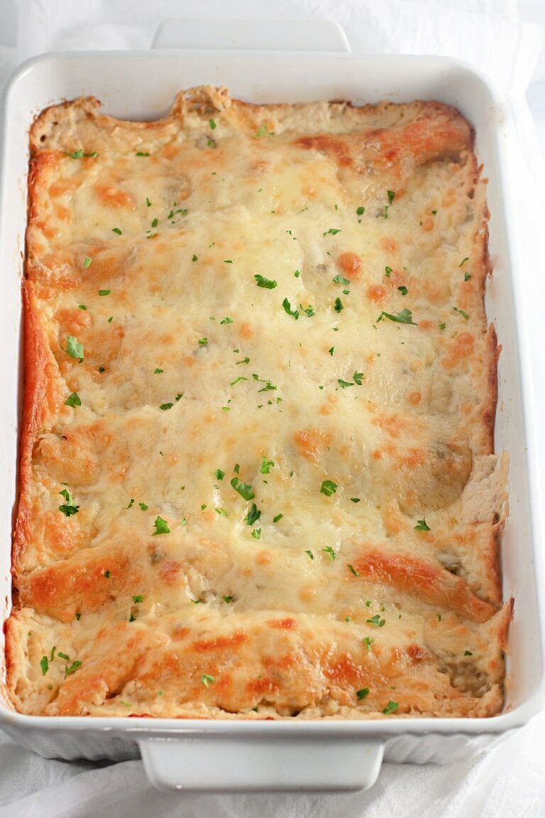 Leftover Shredded Chicken Recipes: Easy Dinners, Dips and Salads