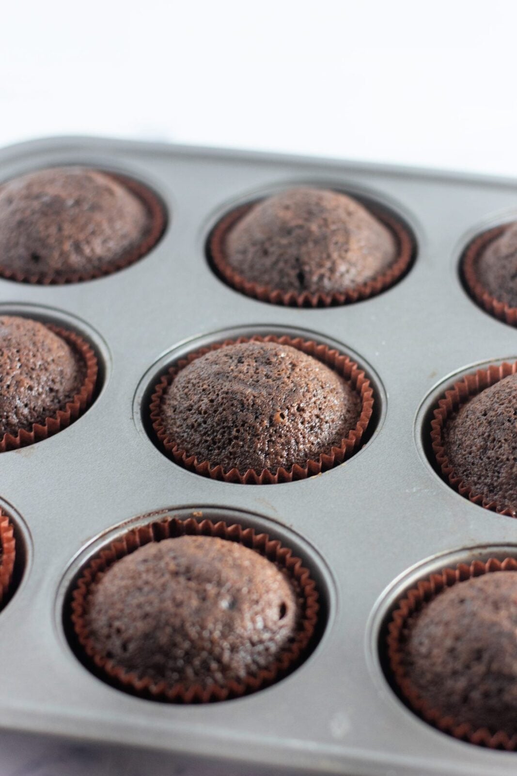 Freshly baked chocolate cupcakes in the muffin pan