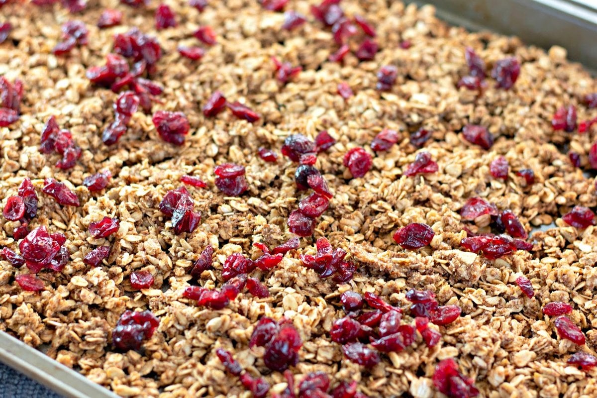 homemade cranberry granola with cranberries