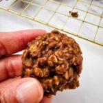 A hand holding a no-bake cookie up close, showing the chewy oat and chocolate texture.