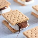 A single oven baked s'more with gooey chocolate