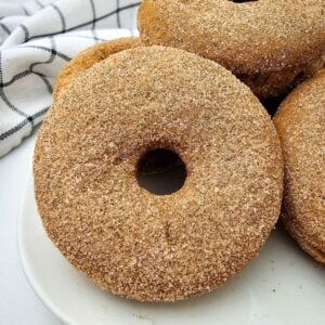 Single baked apple cider donut coated in cinnamon sugar on a white plate