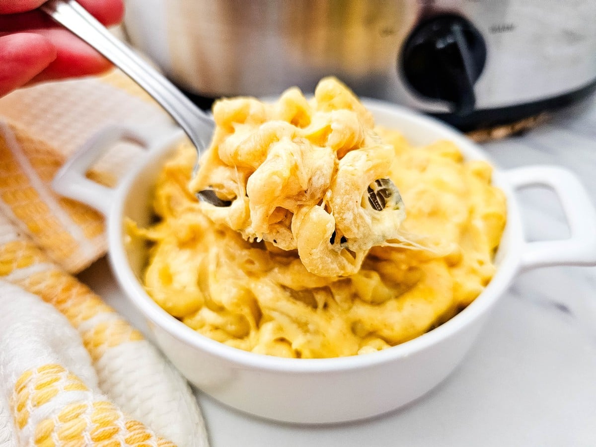 A spoonful of crockpot mac and cheese lifted from a white bowl