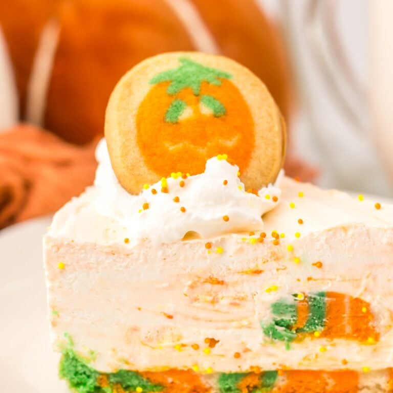 Closeup of a no bake Halloween cheesecake slice showing the cookie layers and sprinkles