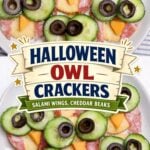 Round crackers topped with salami, cheddar triangles and cucumber slices arranged to look like owls