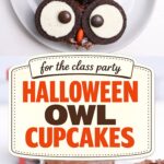 Chocolate cupcakes decorated as owls with Oreo cookie eyes and candy beaks on a white plate